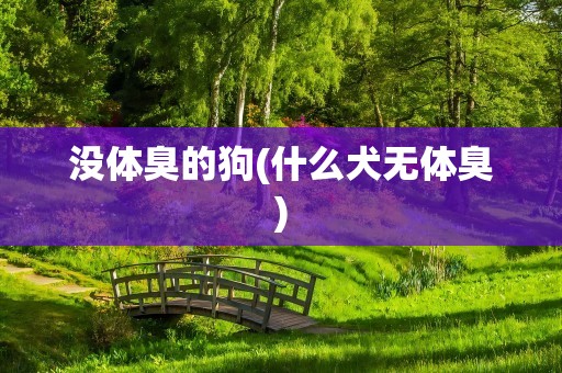 没体臭的狗(什么犬无体臭)