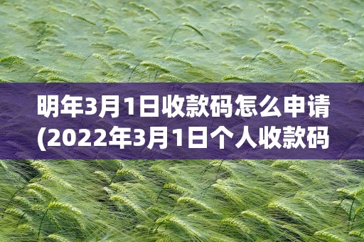 明年3月1日收款码怎么申请(2022年3月1日个人收款码还能用吗)