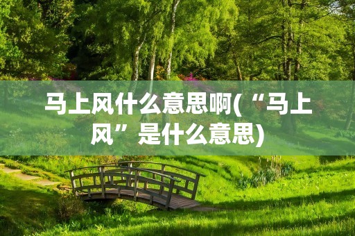 马上风什么意思啊(“马上风”是什么意思)