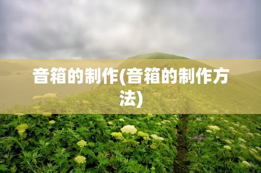 音箱的制作(音箱的制作方法)