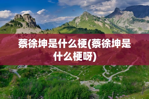 蔡徐坤是什么梗(蔡徐坤是什么梗呀)