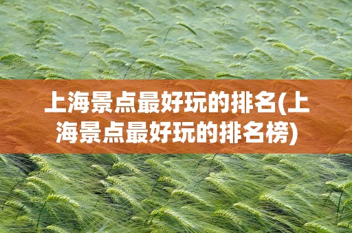 上海景点最好玩的排名(上海景点最好玩的排名榜)