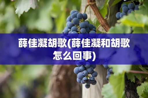 薛佳凝胡歌(薛佳凝和胡歌怎么回事)