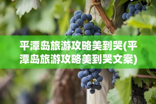 平潭岛旅游攻略美到哭(平潭岛旅游攻略美到哭文案)