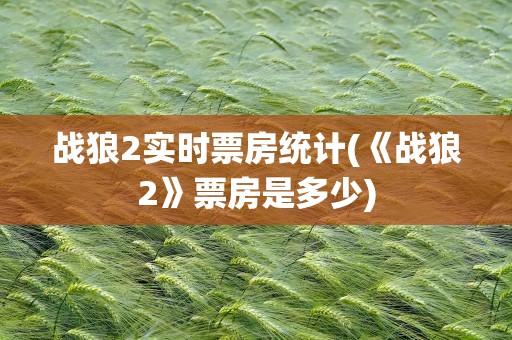 战狼2实时票房统计(《战狼2》票房是多少)