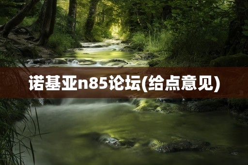 诺基亚n85论坛(给点意见)