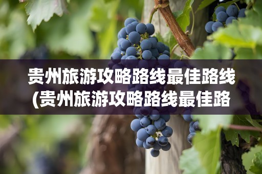 贵州旅游攻略路线最佳路线(贵州旅游攻略路线最佳路线5天)