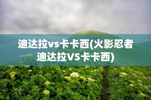 迪达拉vs卡卡西(火影忍者迪达拉VS卡卡西)