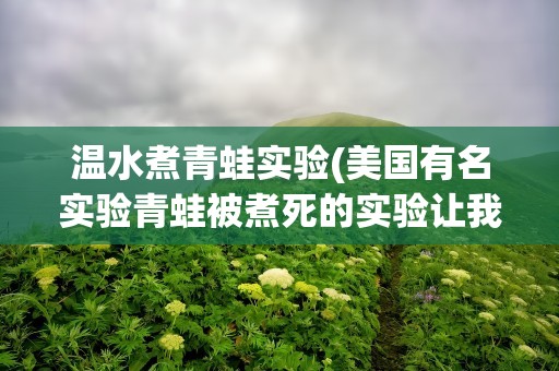 温水煮青蛙实验(美国有名实验青蛙被煮死的实验让我们明白了什么道理)