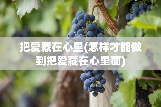 把爱藏在心里(怎样才能做到把爱藏在心里面)