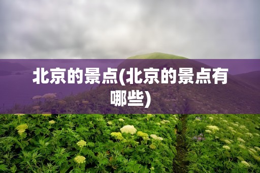 北京的景点(北京的景点有哪些)