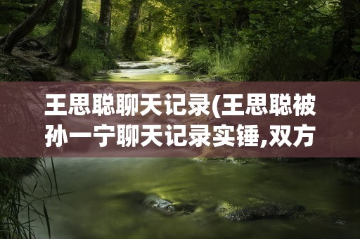 王思聪聊天记录(王思聪被孙一宁聊天记录实锤,双方认识细节被公开)