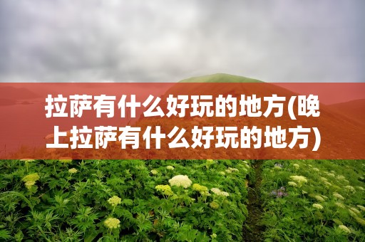 拉萨有什么好玩的地方(晚上拉萨有什么好玩的地方)