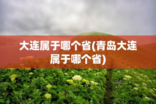 大连属于哪个省(青岛大连属于哪个省)