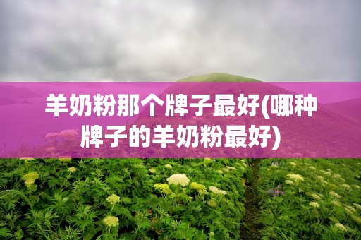 羊奶粉那个牌子最好(哪种牌子的羊奶粉最好)