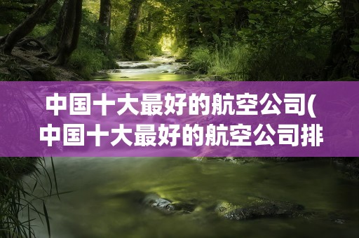 中国十大最好的航空公司(中国十大最好的航空公司排名)