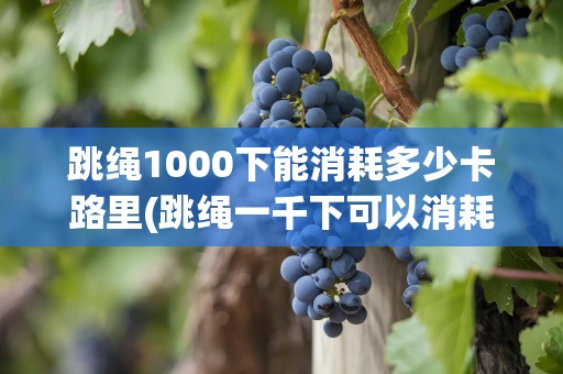 跳绳1000下能消耗多少卡路里(跳绳一千下可以消耗多少大卡)