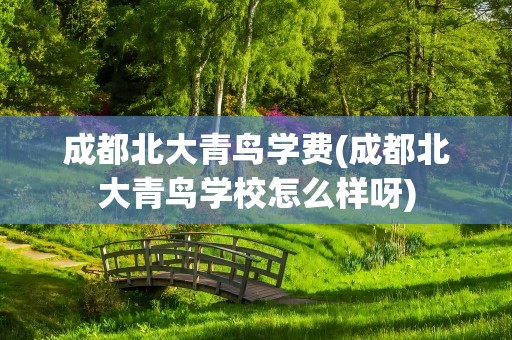 成都北大青鸟学费(成都北大青鸟学校怎么样呀)