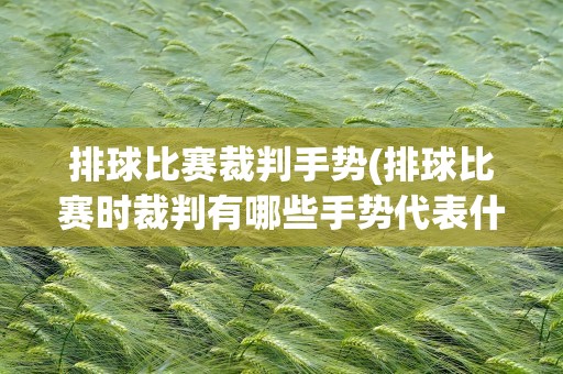 排球比赛裁判手势(排球比赛时裁判有哪些手势代表什么)
