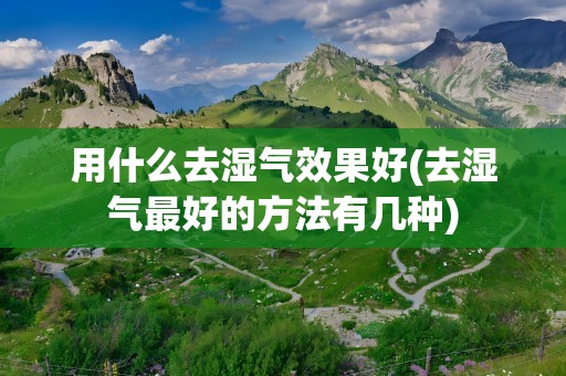 用什么去湿气效果好(去湿气最好的方法有几种)