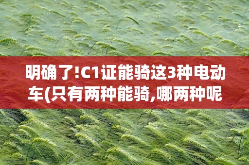 明确了!C1证能骑这3种电动车(只有两种能骑,哪两种呢)