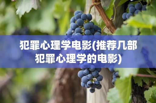 犯罪心理学电影(推荐几部犯罪心理学的电影)