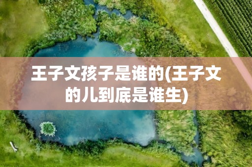 王子文孩子是谁的(王子文的儿到底是谁生)