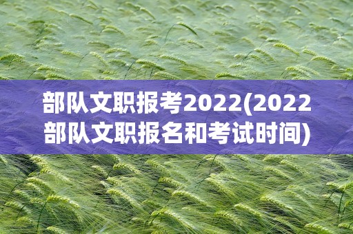 部队文职报考2022(2022部队文职报名和考试时间)