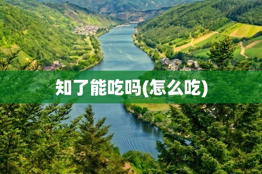 知了能吃吗(怎么吃)