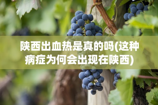 陕西出血热是真的吗(这种病症为何会出现在陕西)