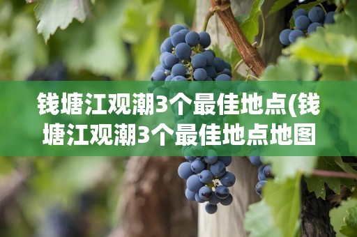 钱塘江观潮3个最佳地点(钱塘江观潮3个最佳地点地图)