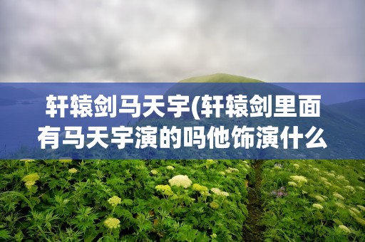 轩辕剑马天宇(轩辕剑里面有马天宇演的吗他饰演什么角色)