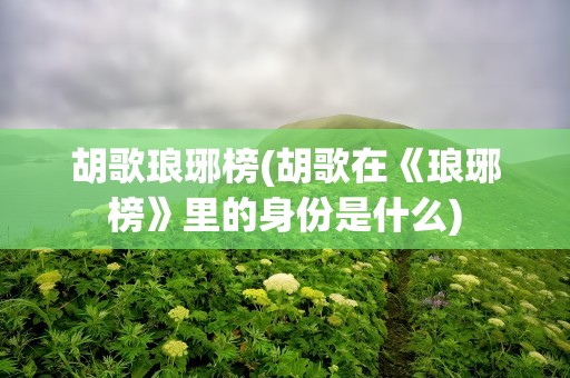 胡歌琅琊榜(胡歌在《琅琊榜》里的身份是什么)