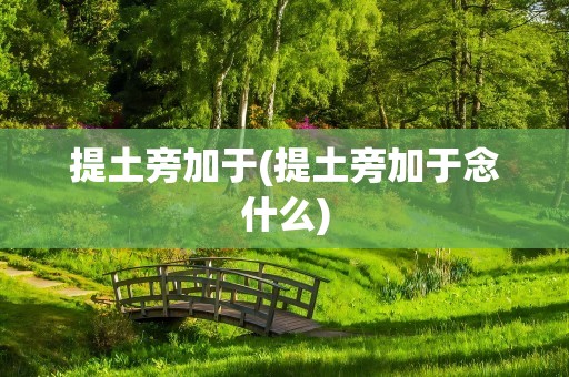 提土旁加于(提土旁加于念什么)