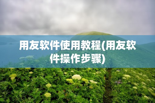 用友软件使用教程(用友软件操作步骤)