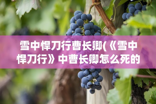 雪中悍刀行曹长卿(《雪中悍刀行》中曹长卿怎么死的)