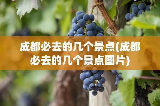 成都必去的几个景点(成都必去的几个景点图片)