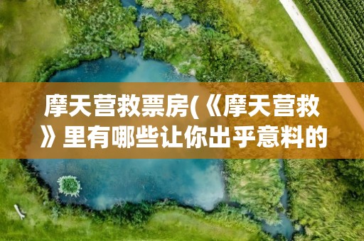 摩天营救票房(《摩天营救》里有哪些让你出乎意料的演员)