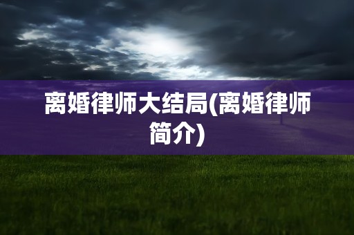 离婚律师大结局(离婚律师简介)