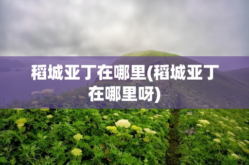 稻城亚丁在哪里(稻城亚丁在哪里呀)