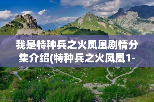 我是特种兵之火凤凰剧情分集介绍(特种兵之火凤凰1-3集介绍)