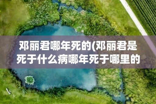 邓丽君哪年死的(邓丽君是死于什么病哪年死于哪里的)