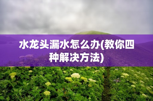 水龙头漏水怎么办(教你四种解决方法)