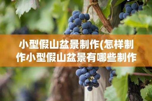 小型假山盆景制作(怎样制作小型假山盆景有哪些制作方法)