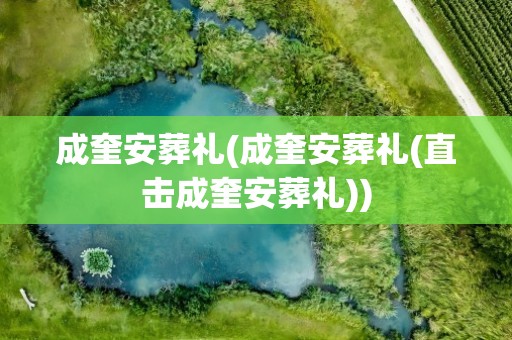 成奎安葬礼(成奎安葬礼(直击成奎安葬礼))