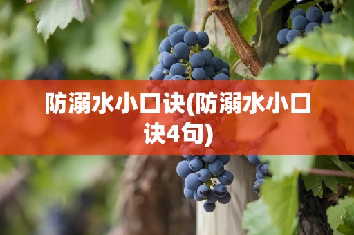 防溺水小口诀(防溺水小口诀4句)