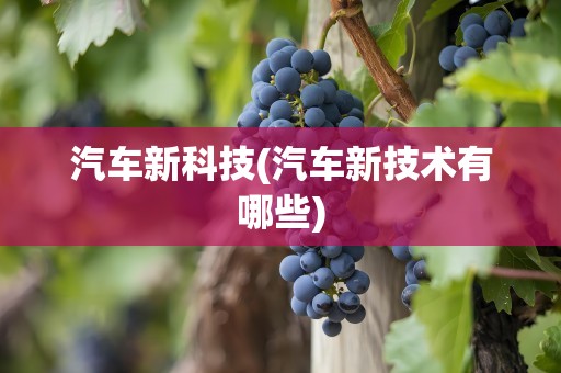 汽车新科技(汽车新技术有哪些)