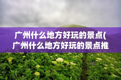 广州什么地方好玩的景点(广州什么地方好玩的景点推荐)