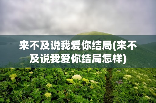 来不及说我爱你结局(来不及说我爱你结局怎样)