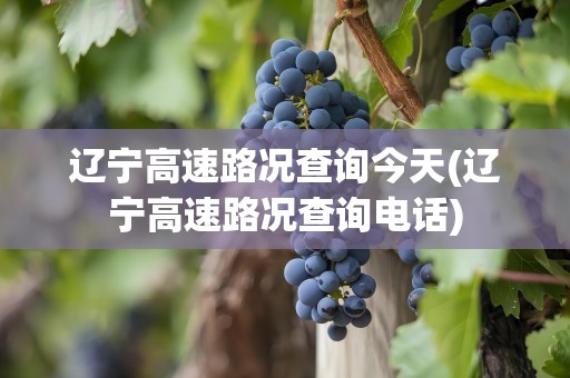 辽宁高速路况查询今天(辽宁高速路况查询电话)